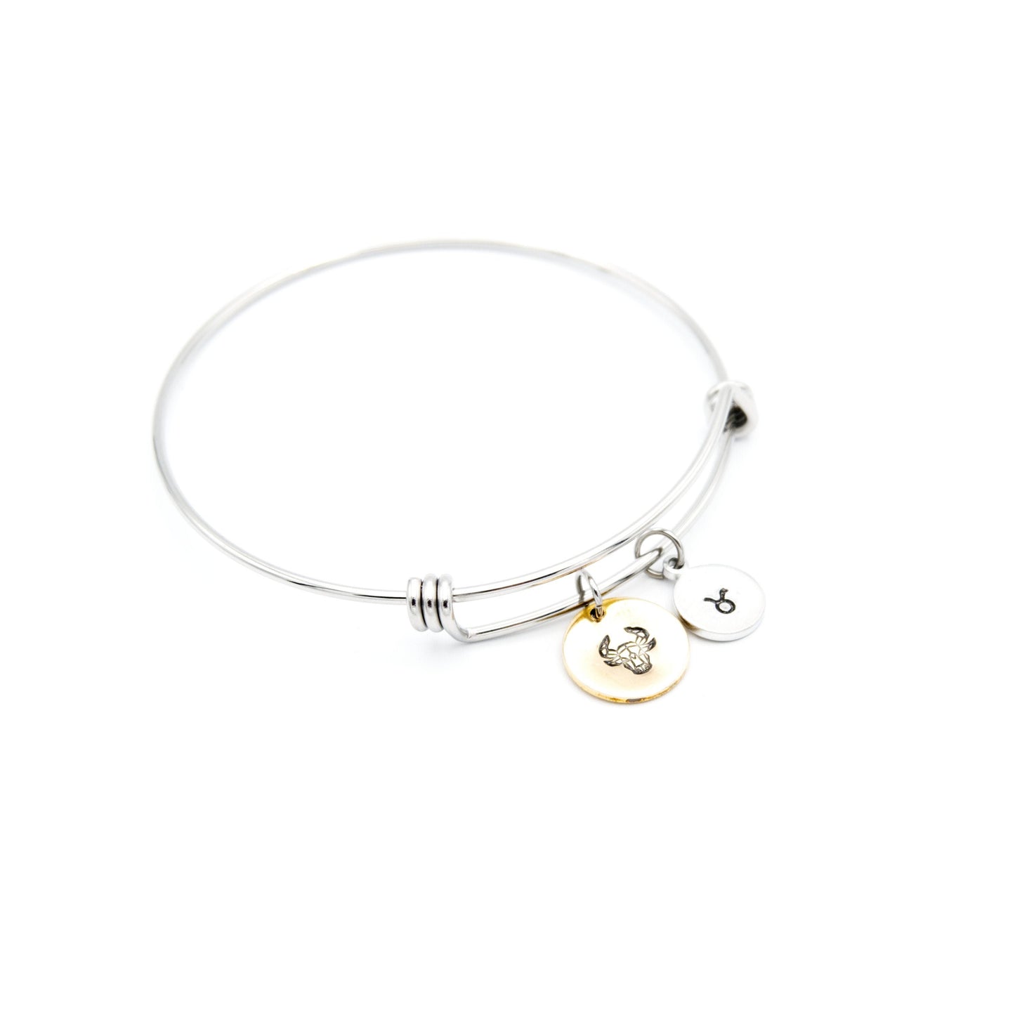 Taurus Charm Bracelet