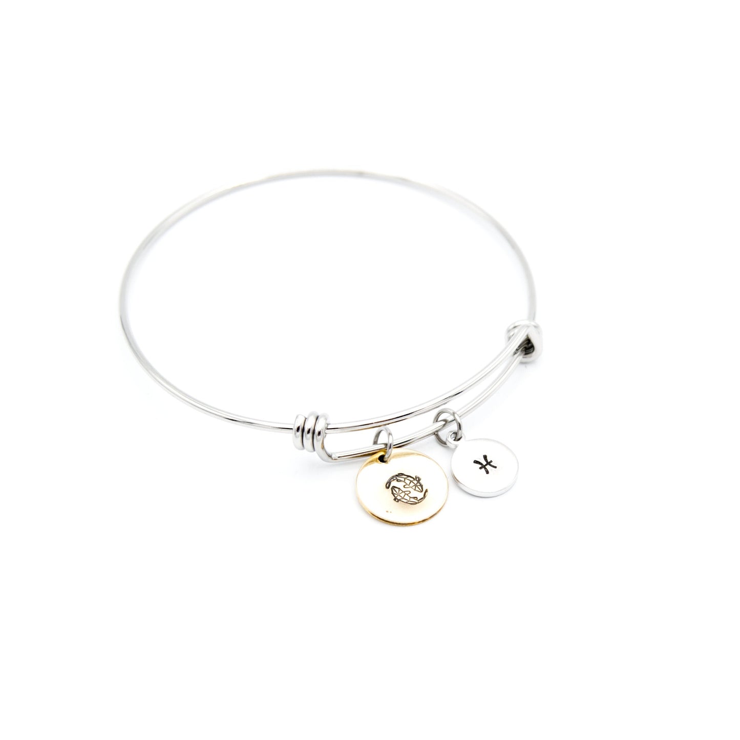 Pisces Charm Bracelet